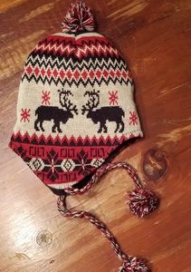 NWOT Winter Hat